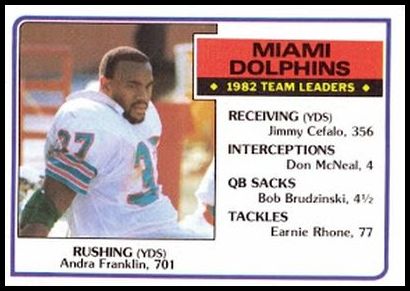 308 Miami Dolphins TL